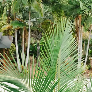 4* Holiday park 1770 Getaway